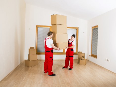 Professional review of a transport service issue